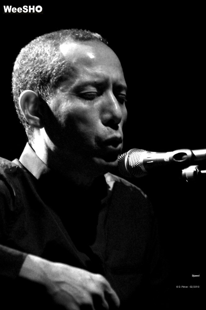 8/26 photos du spectacle Djuwel