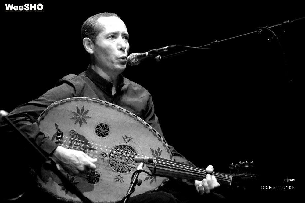 24/26 photos du spectacle Djuwel