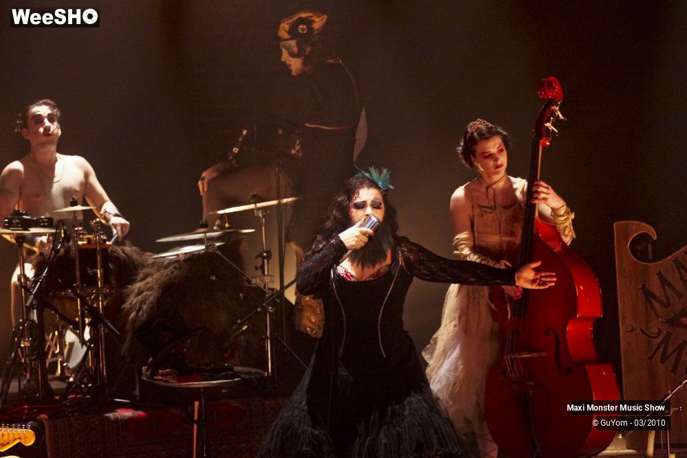 6/50 photos du spectacle Maxi Monster Music Show