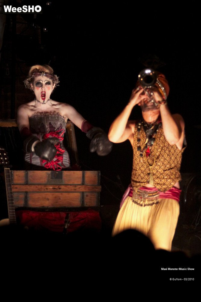 22/50 photos du spectacle Maxi Monster Music Show