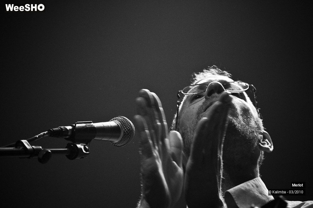 23/27 photos du spectacle Merlot