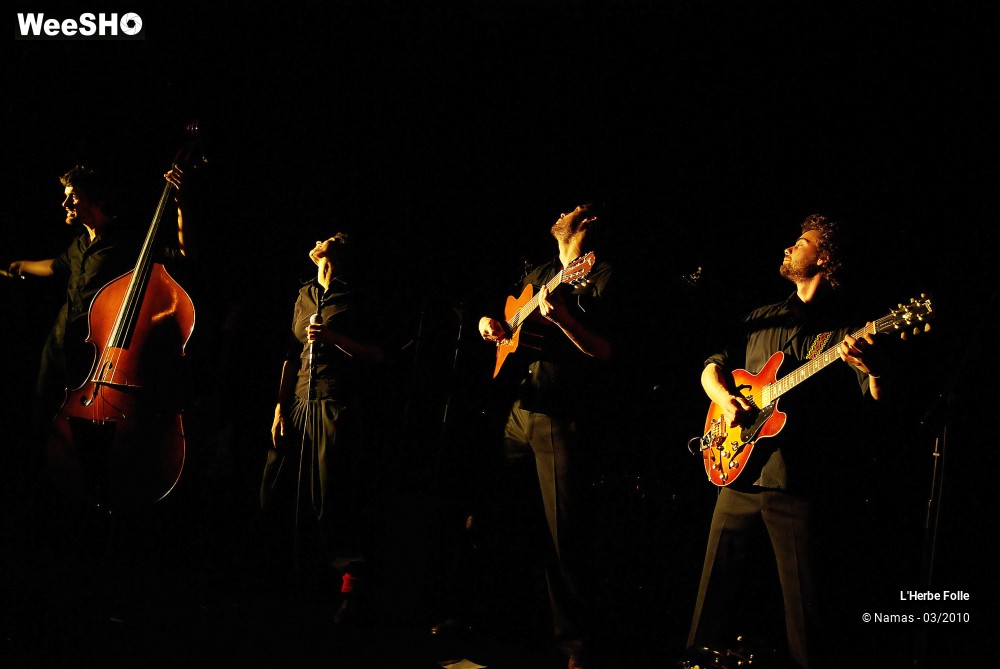 19/28 photos du spectacle L'Herbe Folle