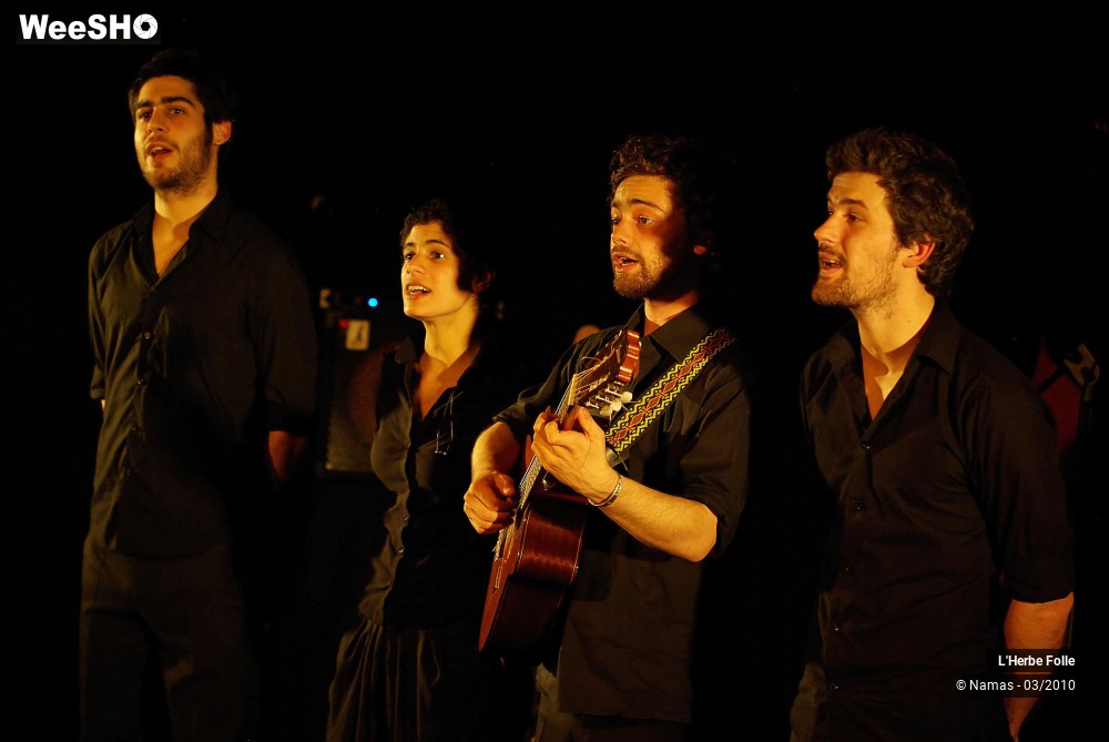 22/28 photos du spectacle L'Herbe Folle