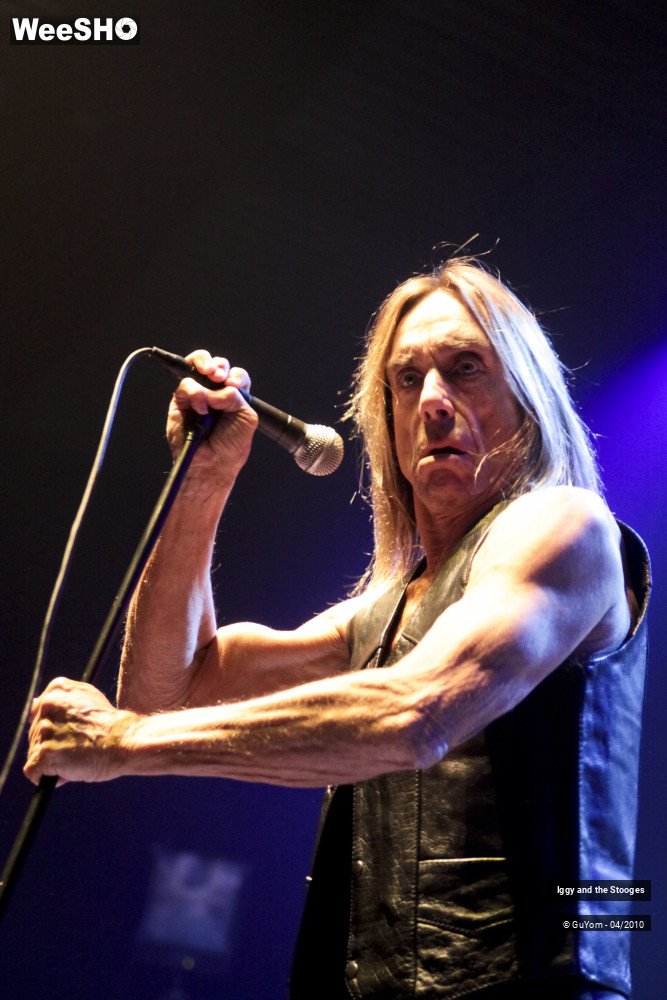 4/51 photos du spectacle Iggy and the Stooges