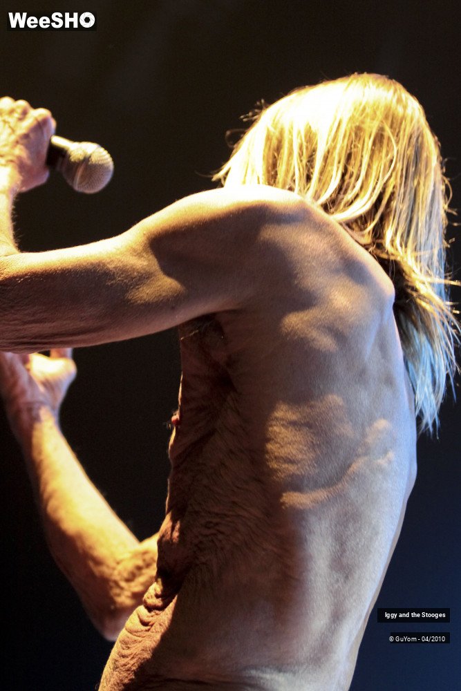 6/51 photos du spectacle Iggy and the Stooges
