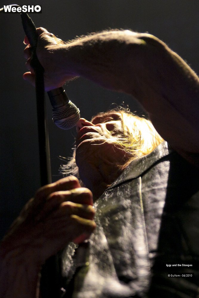 7/51 photos du spectacle Iggy and the Stooges