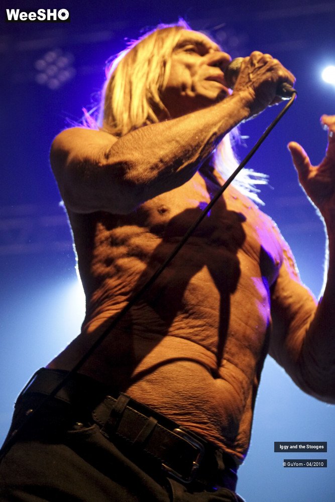 9/51 photos du spectacle Iggy and the Stooges