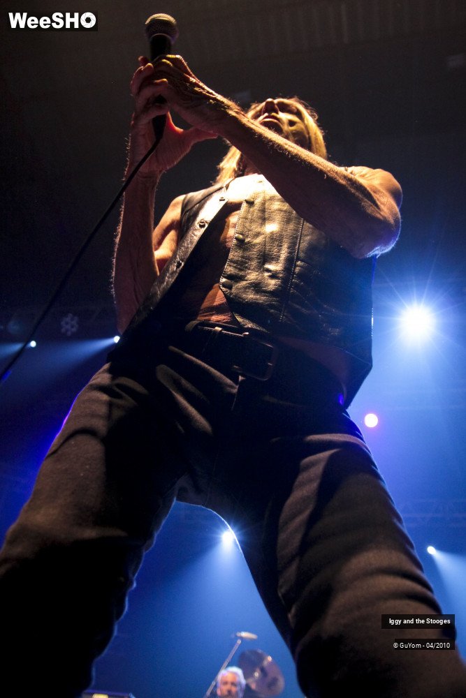 11/51 photos du spectacle Iggy and the Stooges