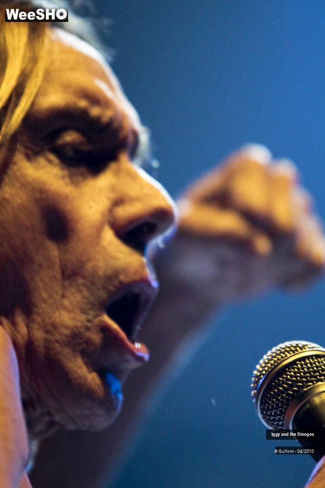 12/51 photos du spectacle Iggy and the Stooges