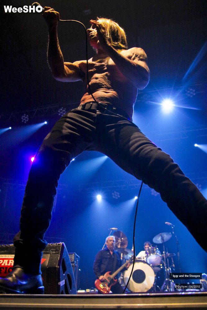 14/51 photos du spectacle Iggy and the Stooges