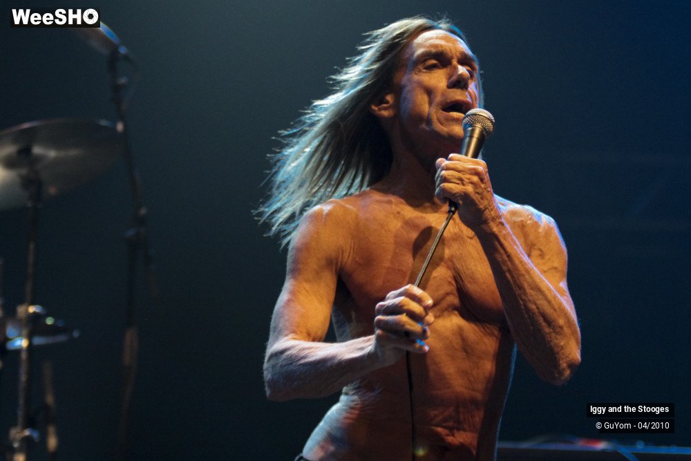 15/51 photos du spectacle Iggy and the Stooges