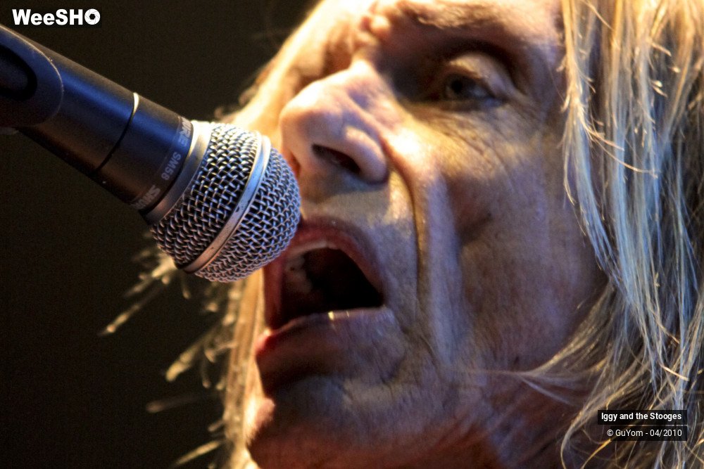 17/51 photos du spectacle Iggy and the Stooges