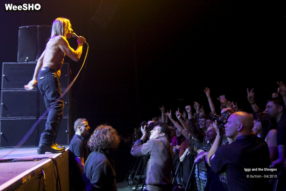20/51 photos du spectacle Iggy and the Stooges