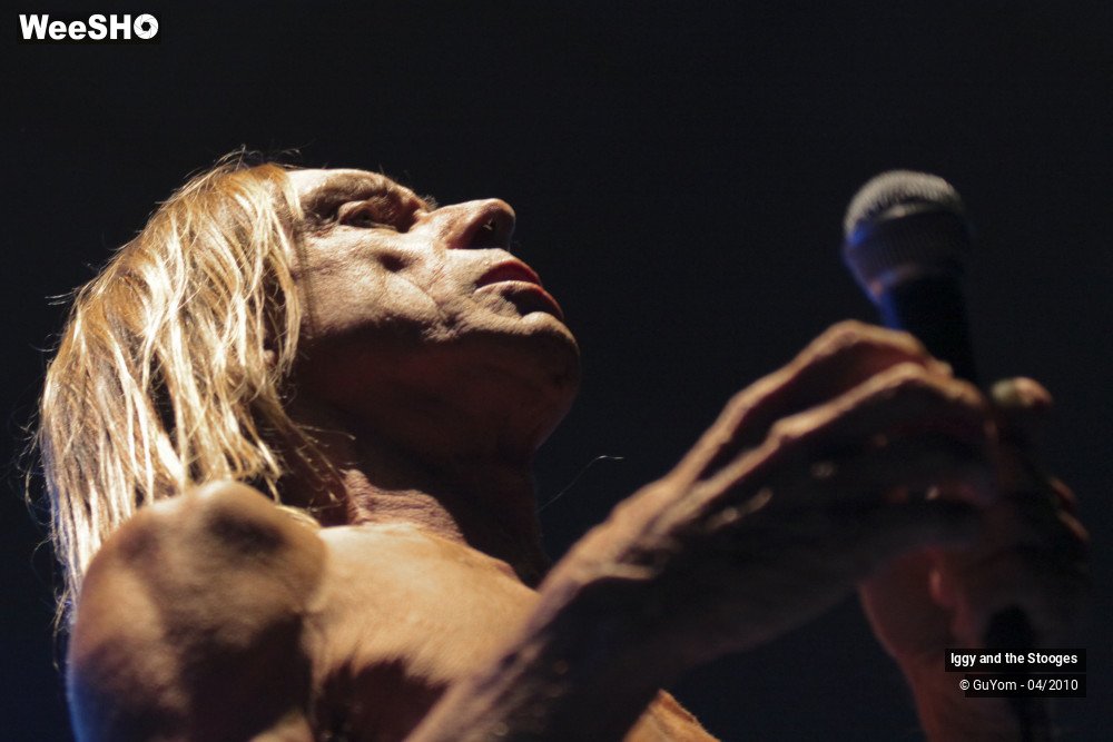 21/51 photos du spectacle Iggy and the Stooges