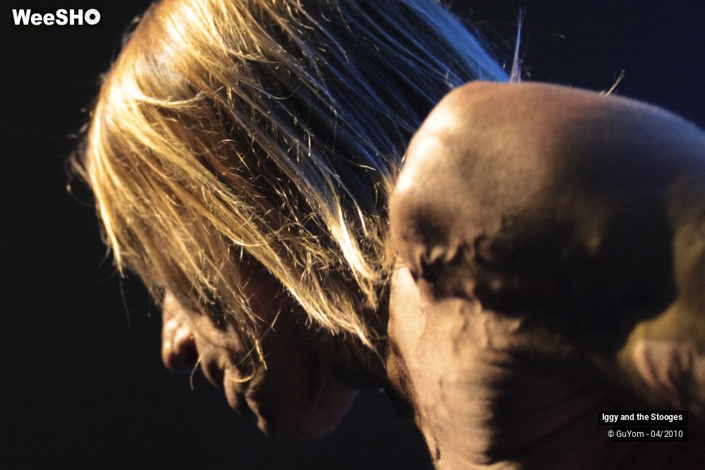 22/51 photos du spectacle Iggy and the Stooges
