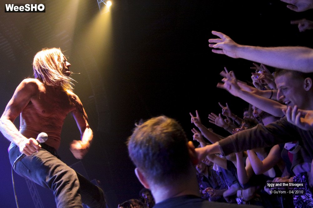 24/51 photos du spectacle Iggy and the Stooges