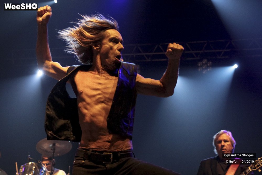 26/51 photos du spectacle Iggy and the Stooges