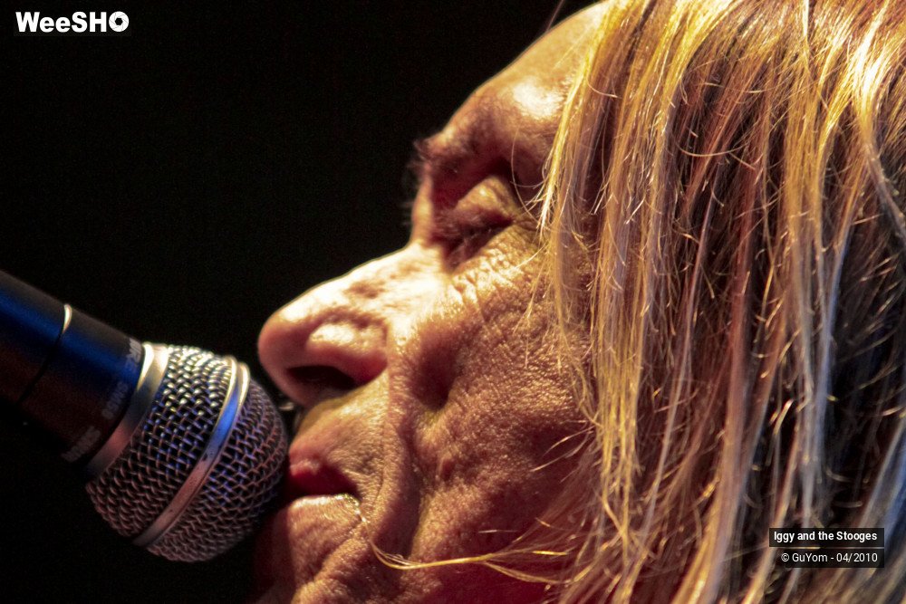 30/51 photos du spectacle Iggy and the Stooges