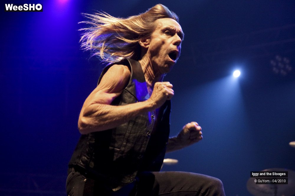 32/51 photos du spectacle Iggy and the Stooges