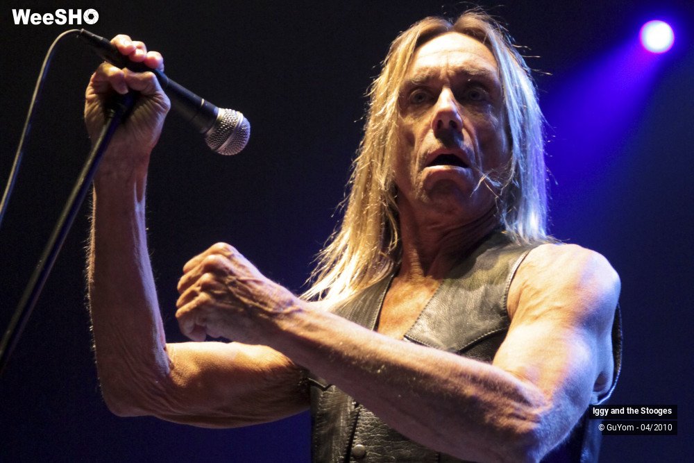38/51 photos du spectacle Iggy and the Stooges