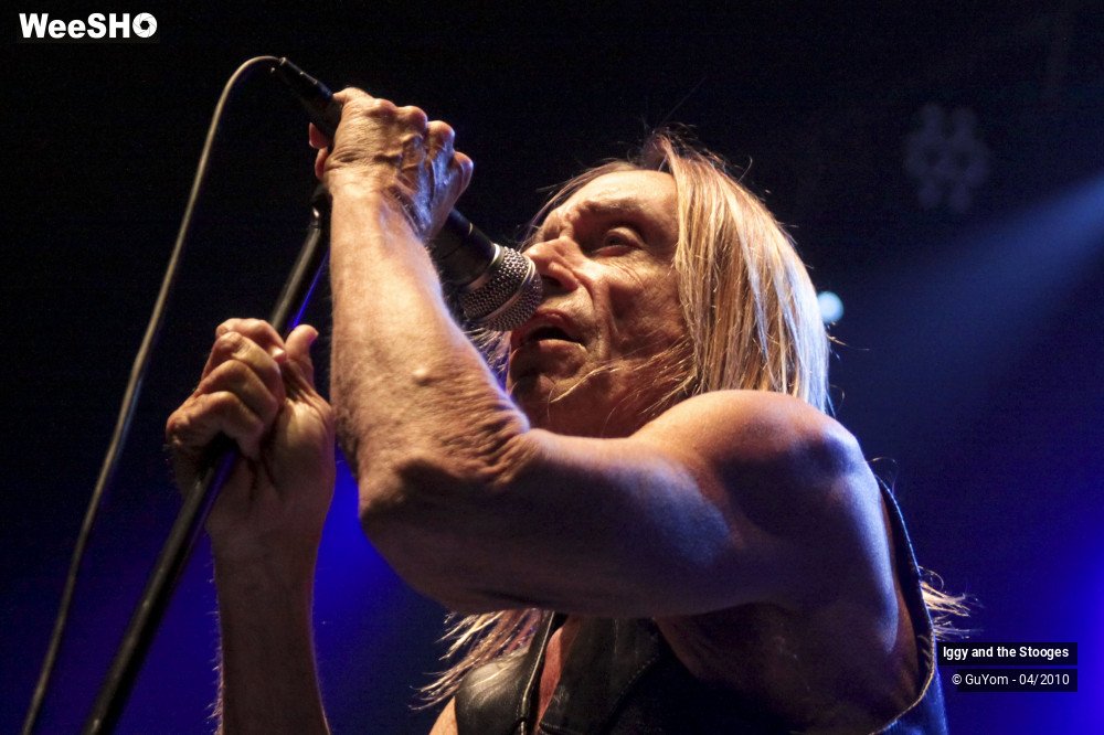 42/51 photos du spectacle Iggy and the Stooges
