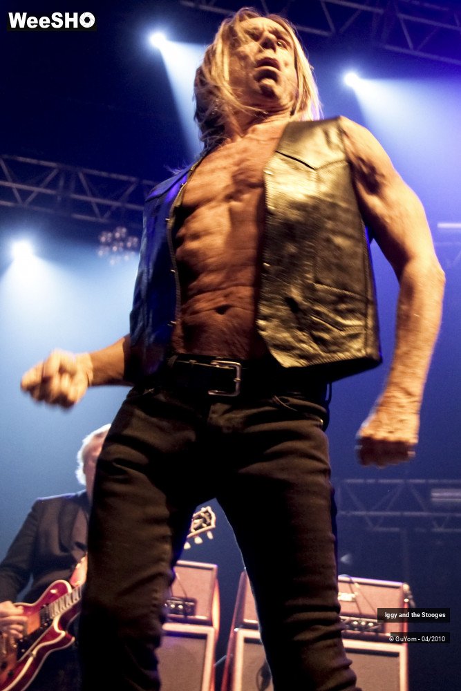 47/51 photos du spectacle Iggy and the Stooges