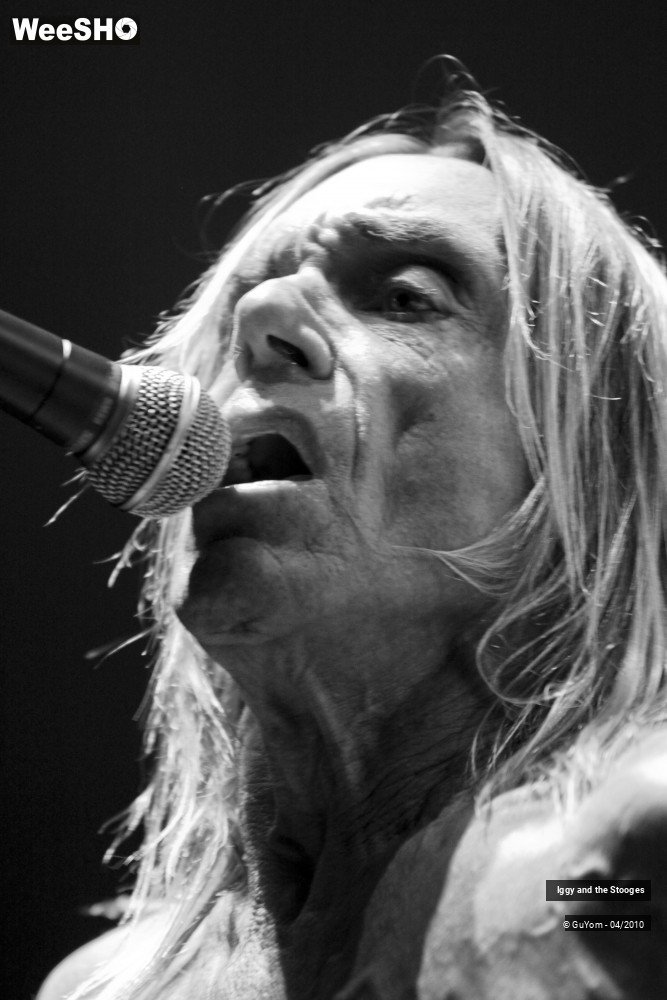 48/51 photos du spectacle Iggy and the Stooges