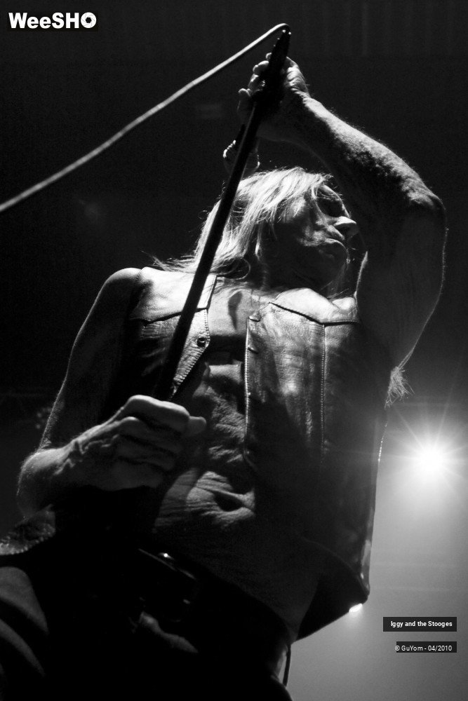 49/51 photos du spectacle Iggy and the Stooges