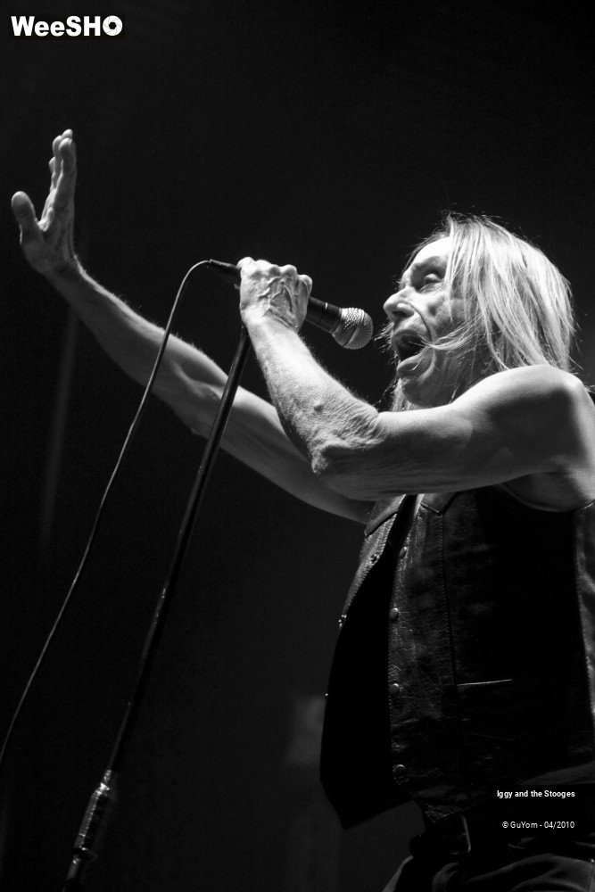 50/51 photos du spectacle Iggy and the Stooges