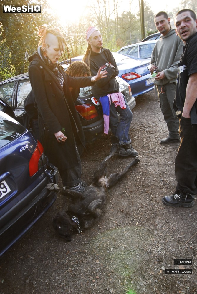 9/22 photos du spectacle Betizfest 2010 Ambiance