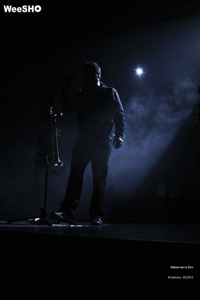 18/50 photos du spectacle Debout Sur Le Zinc