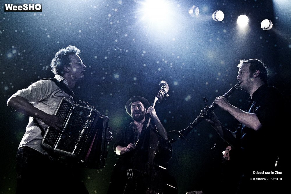 31/50 photos du spectacle Debout Sur Le Zinc