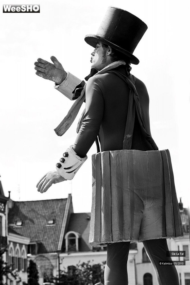 2/44 photos du spectacle Carillo Portrait
