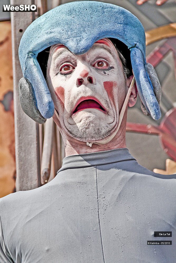 6/44 photos du spectacle Carillo Portrait