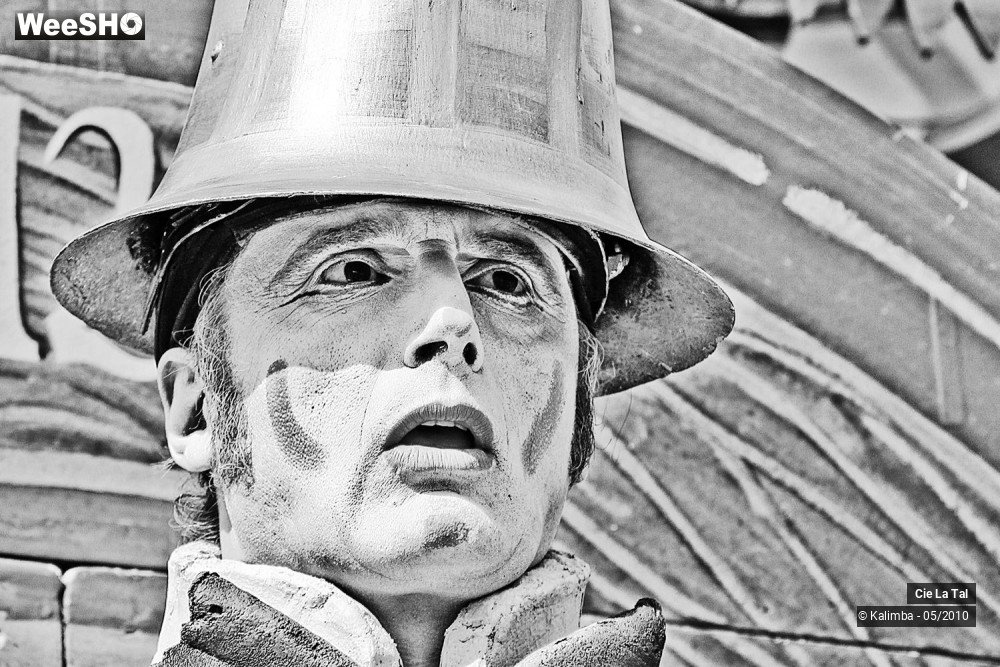 33/44 photos du spectacle Carillo Portrait