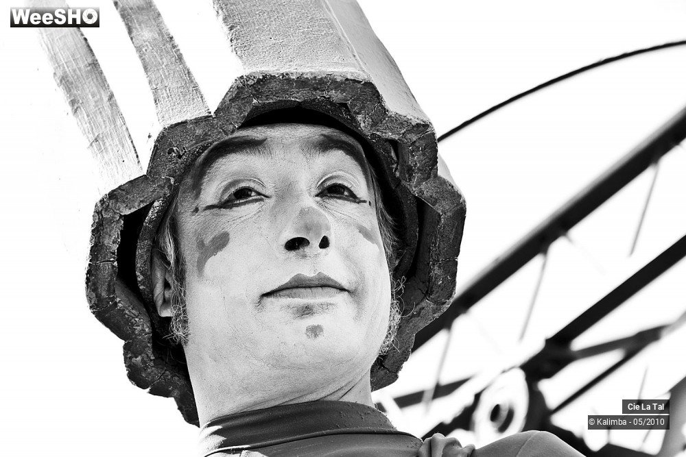 41/44 photos du spectacle Carillo Portrait