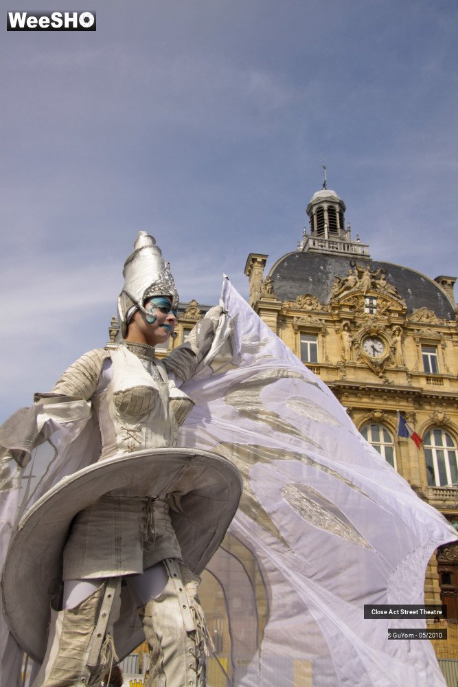 19/50 photos du spectacle White Wings