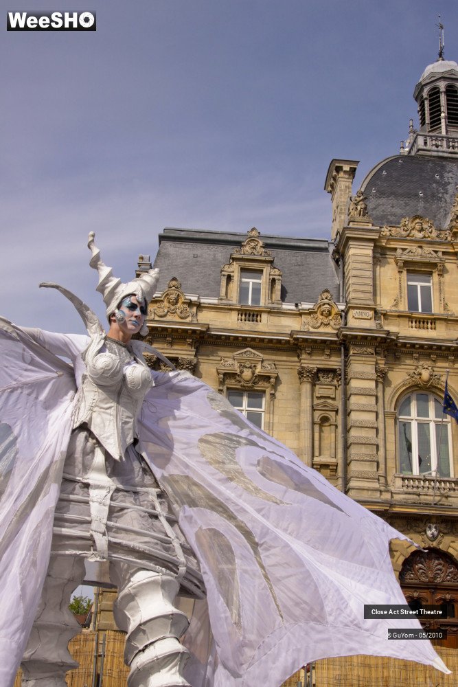 23/50 photos du spectacle White Wings