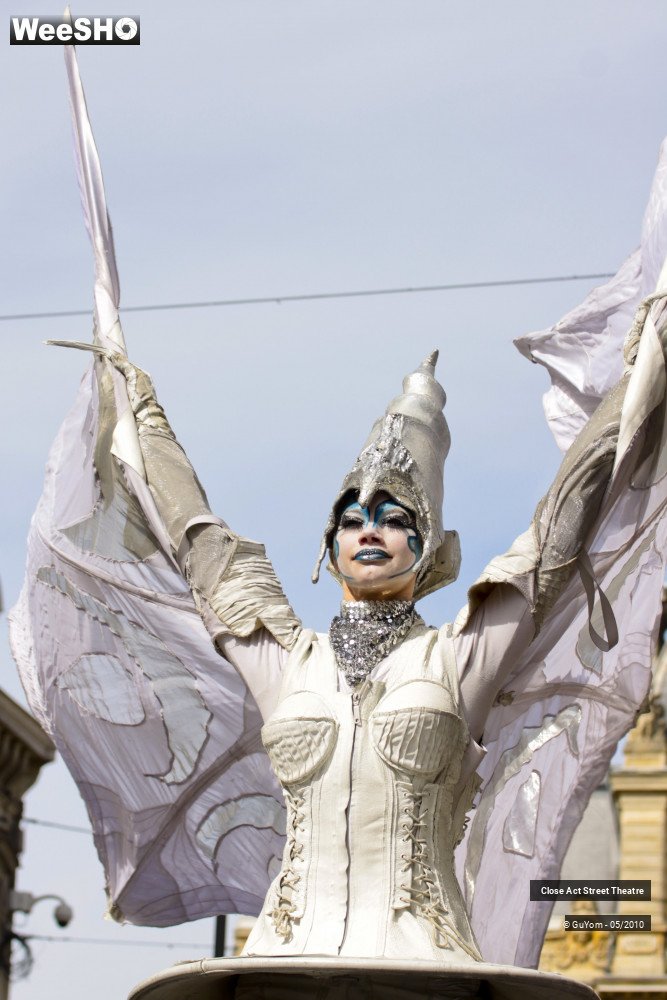 24/50 photos du spectacle White Wings