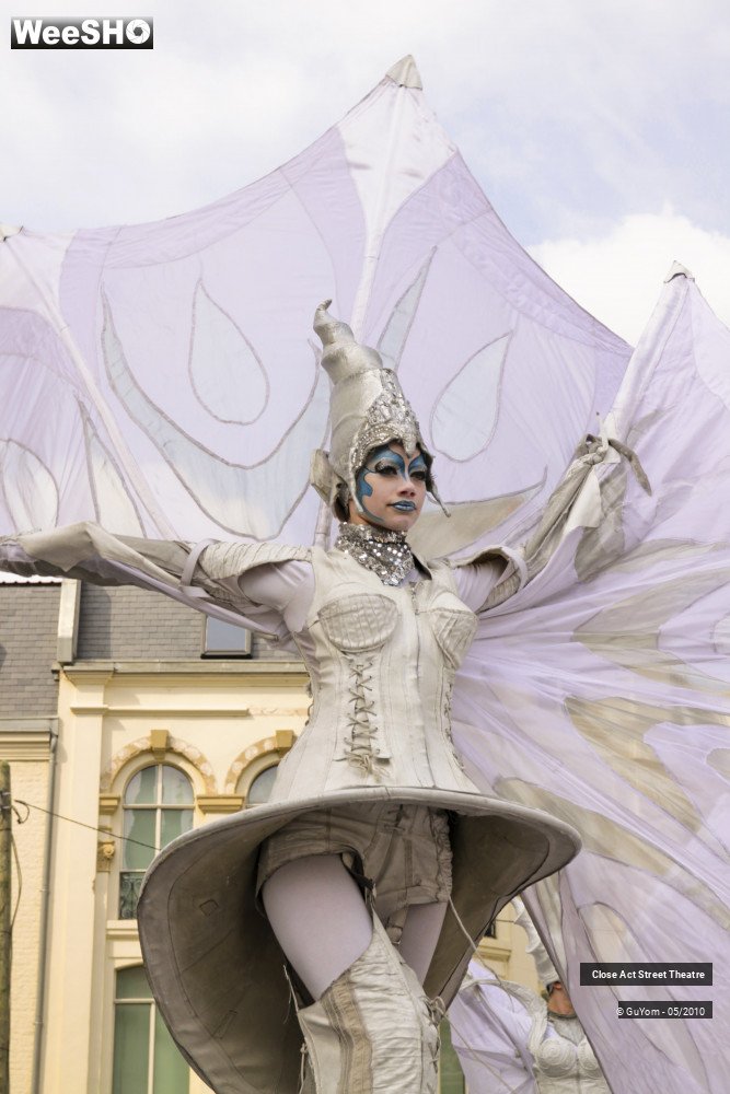 25/50 photos du spectacle White Wings