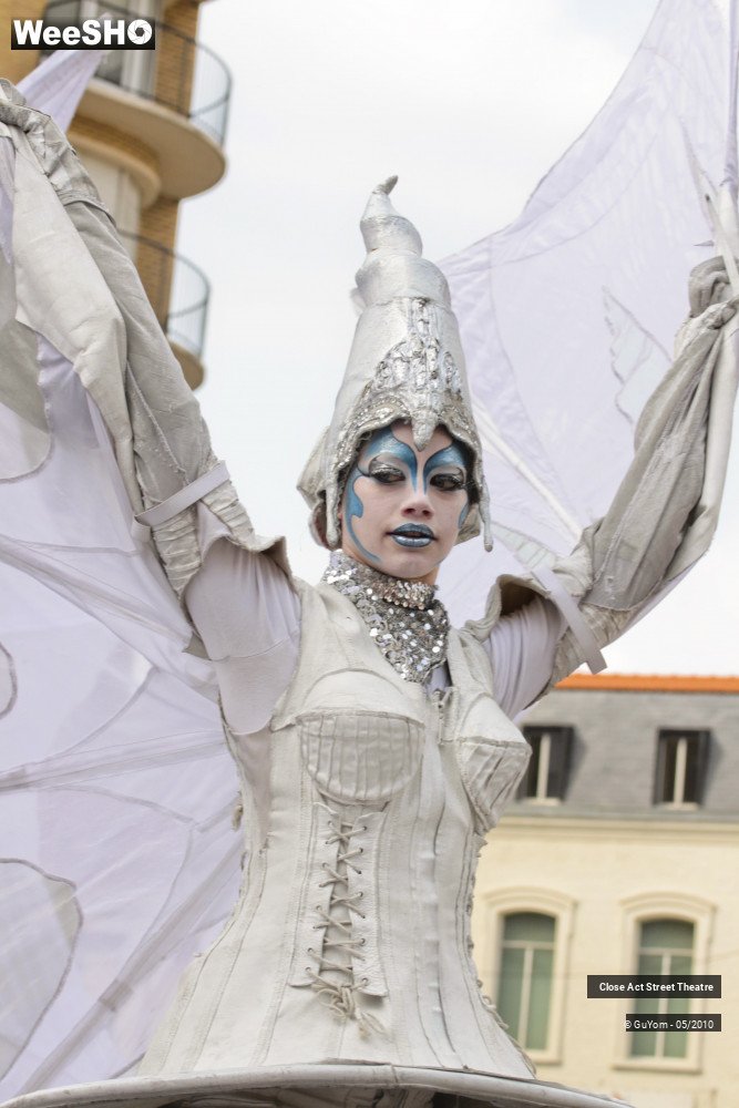 26/50 photos du spectacle White Wings