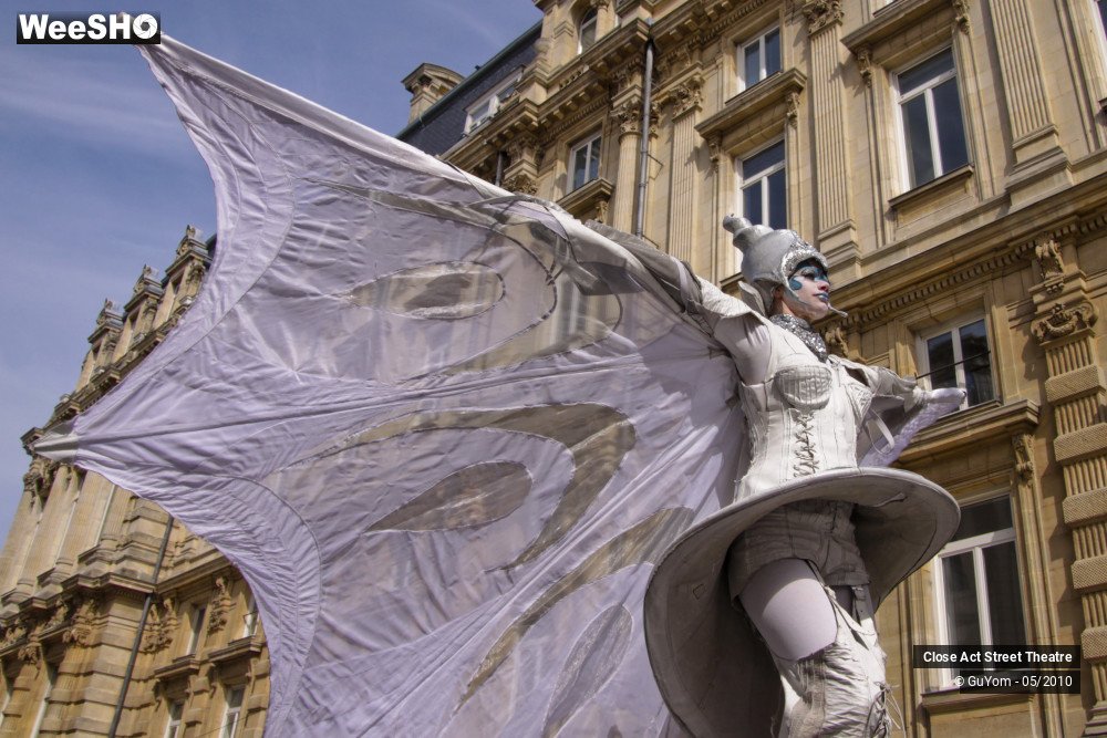 33/50 photos du spectacle White Wings
