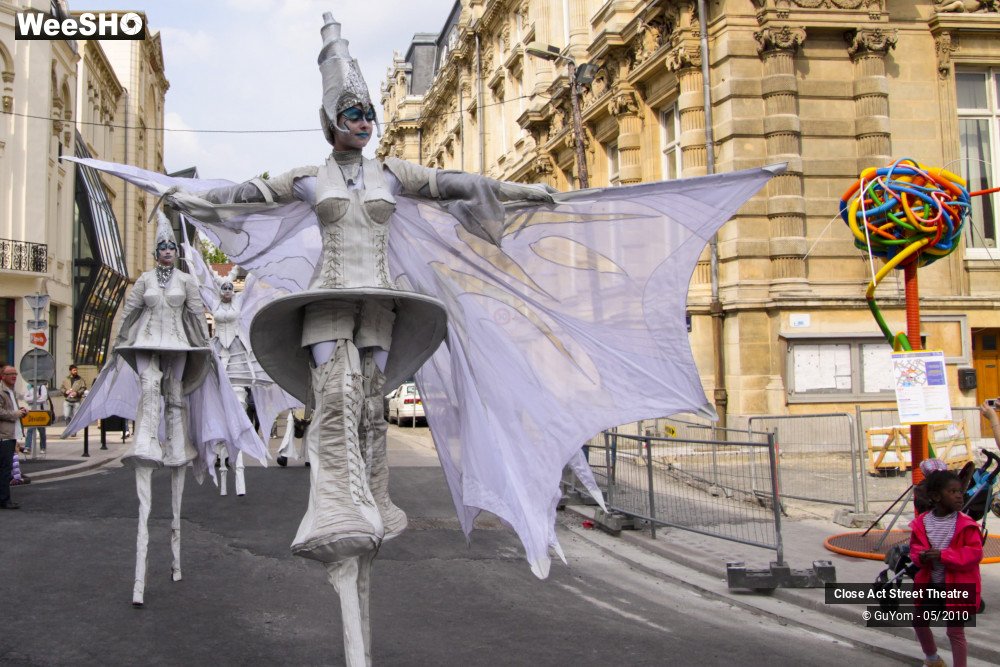 37/50 photos du spectacle White Wings