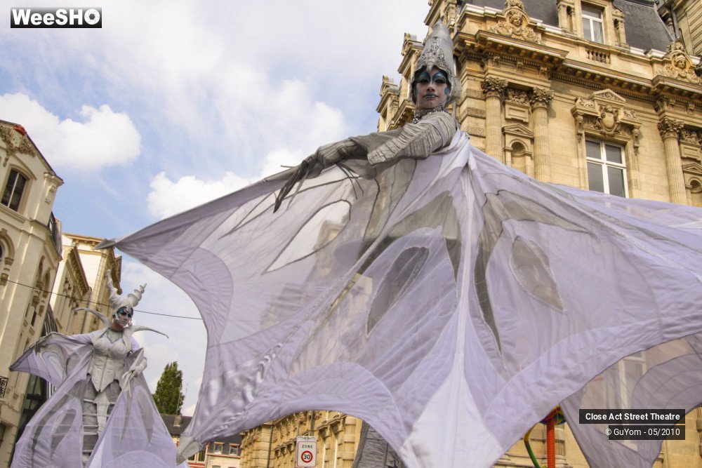 38/50 photos du spectacle White Wings