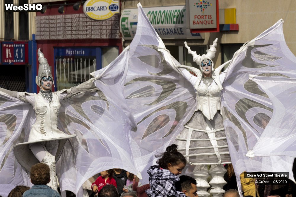 40/50 photos du spectacle White Wings