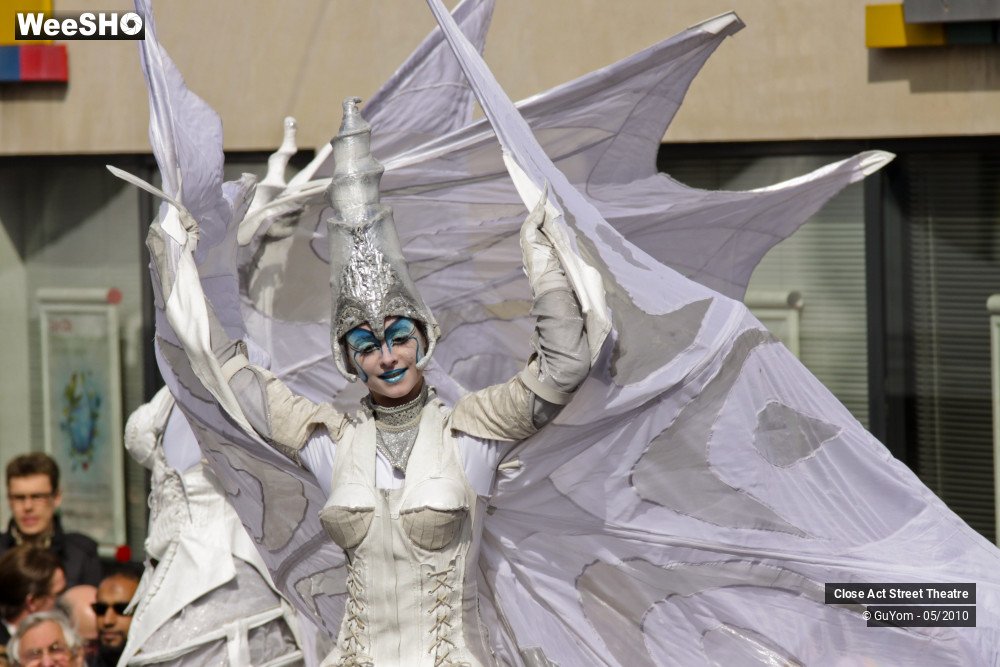 42/50 photos du spectacle White Wings