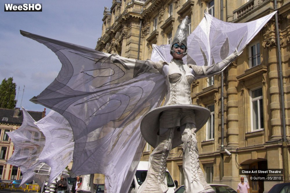 48/50 photos du spectacle White Wings