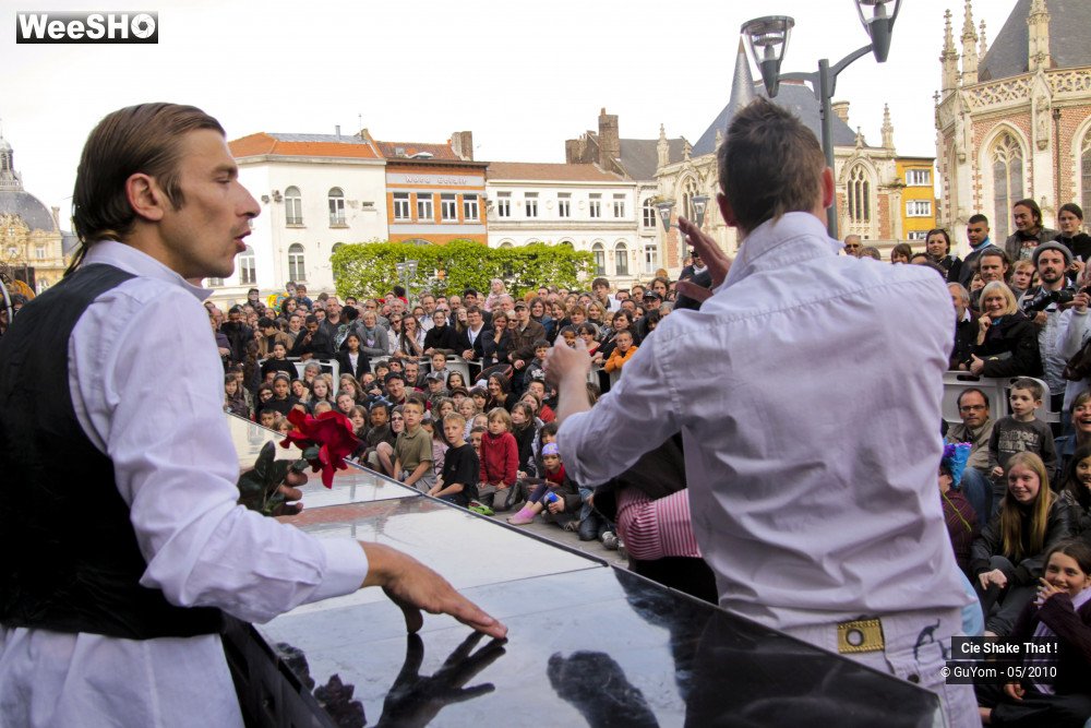 41/50 photos du spectacle Shake That !