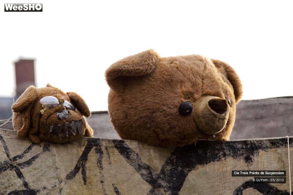 36/50 photos du spectacle Voyage en Bordure du Bord du Bout du Monde 2