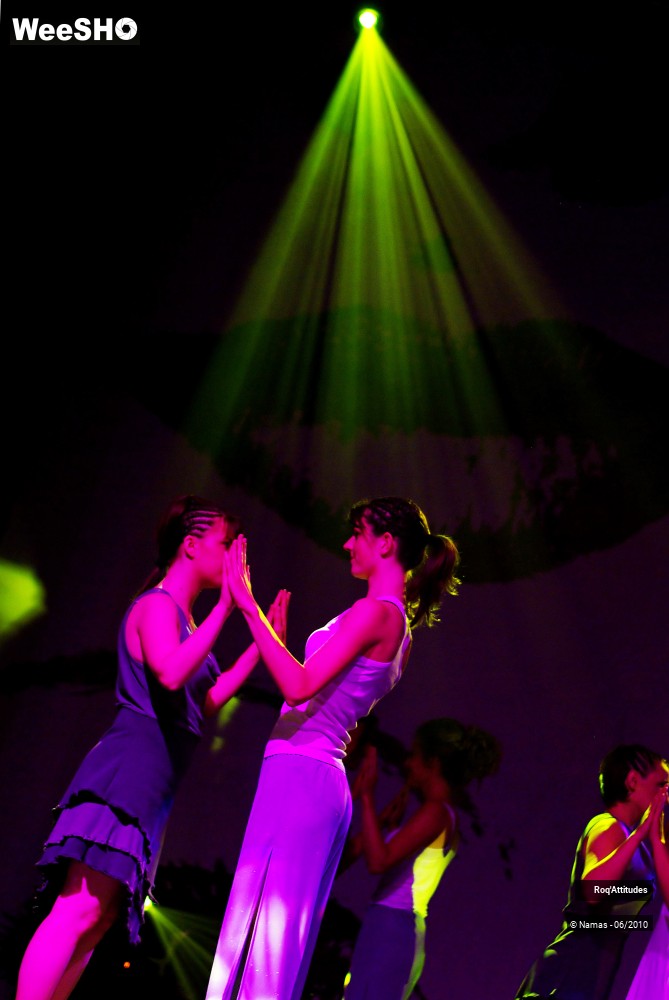 2/47 photos du spectacle Roq Attitudes Partie 2
